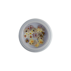 Floral Nail Accessories